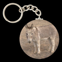 Donkey keychain keychains