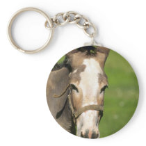 Donkey Keychain