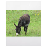 Donkey Custom Letterhead