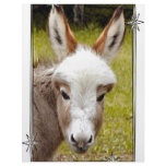 Donkey Letterhead