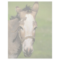 Donkey Letterhead Design
