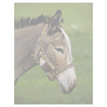 Donkey Customized Letterhead