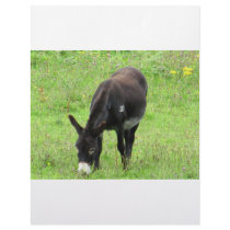 Donkey letterhead by A_Phoenix Donkey letterhead