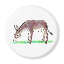 Donkey Magnet
