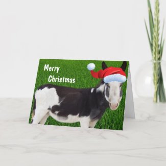 Donkey Merry Christmas Greeting Cards