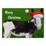 Donkey Merry Christmas Greeting Cards