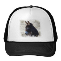 Donkey Mesh Hats
