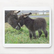 donkey mousepads by kathiscc donkey mousepads