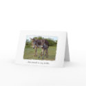 donkey new born card