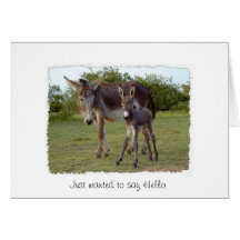 donkey new born card