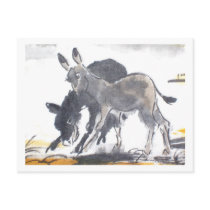 Donkey No. 01 * donkey postcards * Donkey Postcard