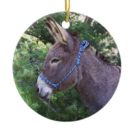 Donkey Ornaments