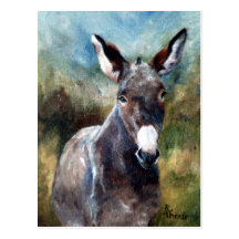 Donkey Portrait Postcard