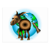Donkey postcards
