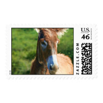 Donkey Postage