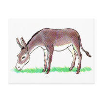 Donkey Post Card