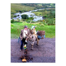 Donkey posters