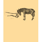 ladies_casual_scoop - donkey punch