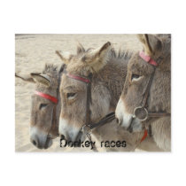 Donkey races postcards by zephere Donkey races postcards