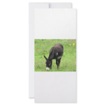 Donkey rack cards by A_Phoenix Donkey rack cards