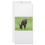 Donkey Rack Card Template