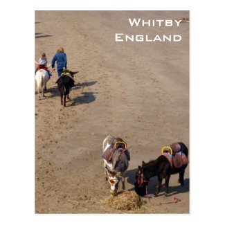 Donkey Rides On Whitby Beach, North Yorkshire Postcard