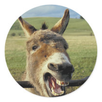 Donkey stickers