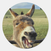 Donkey Round Stickers