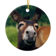Donkey Smiles For Christmas Ornament
