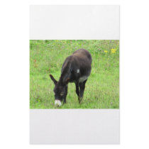 Donkey Stationery Design