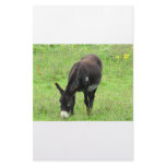 Donkey Stationery Design