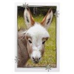 Donkey Stationery Design