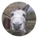 donkey stickers