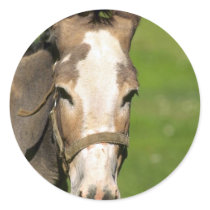 Donkey Sticker