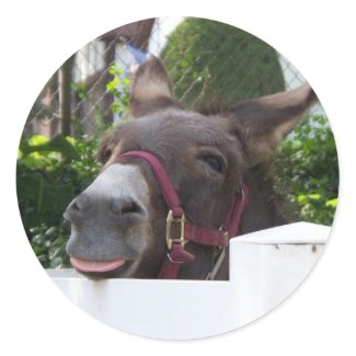 Donkey Sticker sticker