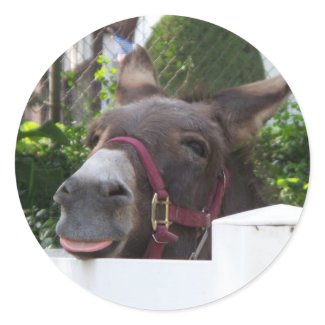 Donkey Sticker sticker