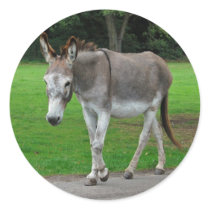 Donkey stickers by Thorninger Donkey stickers