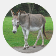 Donkey stickers