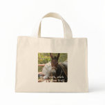 Donkey with a load bag