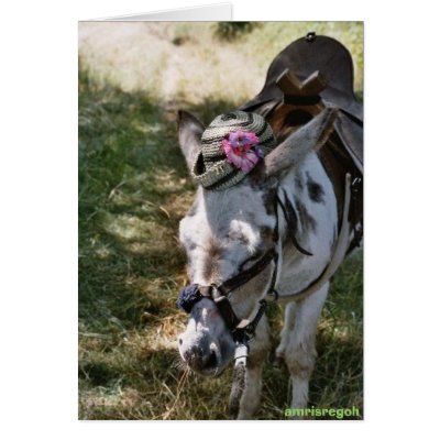 donkey with hat cards by amrisregoh