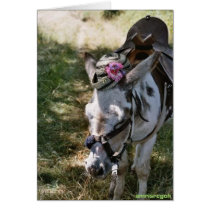 donkey with hat cards