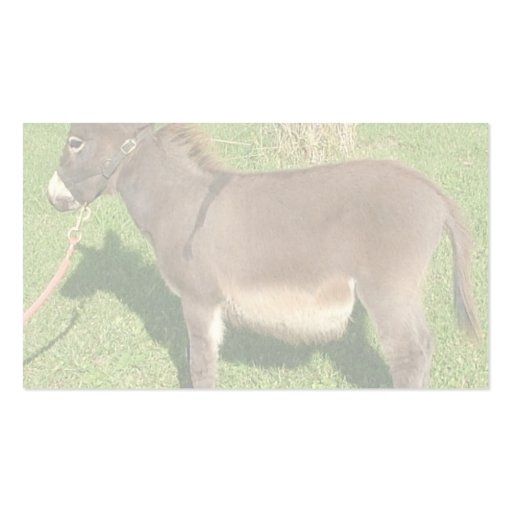 Donkey With The Belt In Neck Business Cards (back side)
