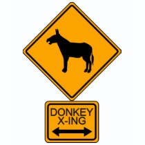 Poker Wear Donkey