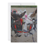 Donkeys at the Seaside Invitation