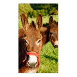 Donkeys Business Card Templates