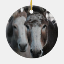 Donkeys Double Sided Ornament