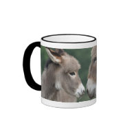 Donkeys nose-to-nose mug
