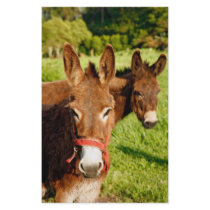Donkeys stationery by gavila_pt Donkeys stationery