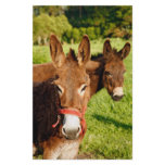 Donkeys Stationery Paper
