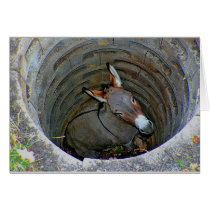 Donkeywell card